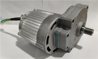 24 V Bezszczotkowy silnik DC